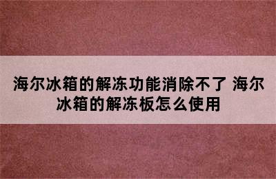 海尔冰箱的解冻功能消除不了 海尔冰箱的解冻板怎么使用